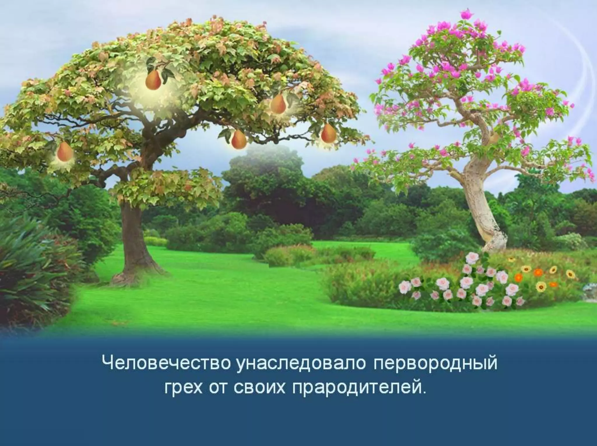 Раздел 1. Корень греха