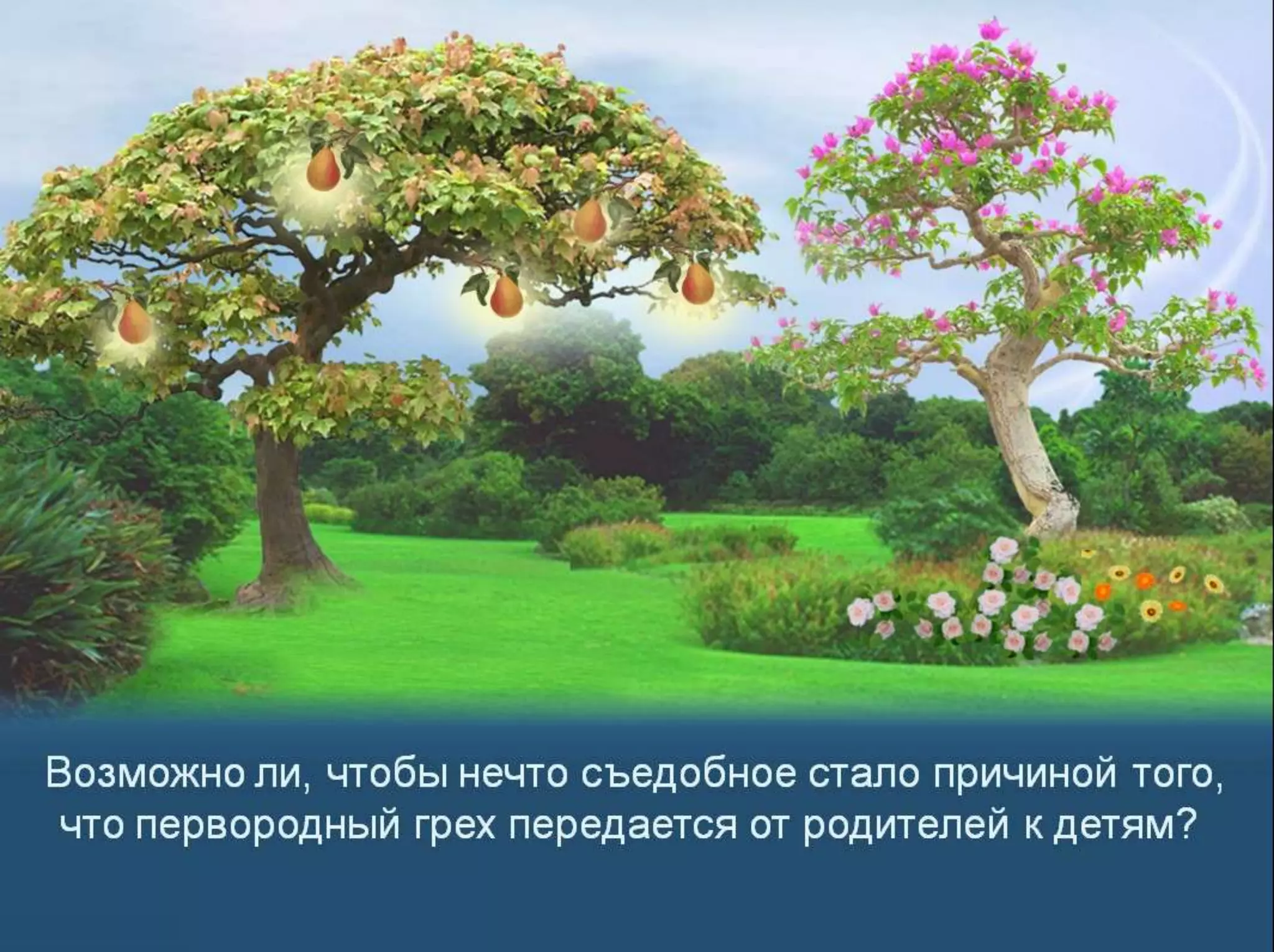 Раздел 1. Корень греха