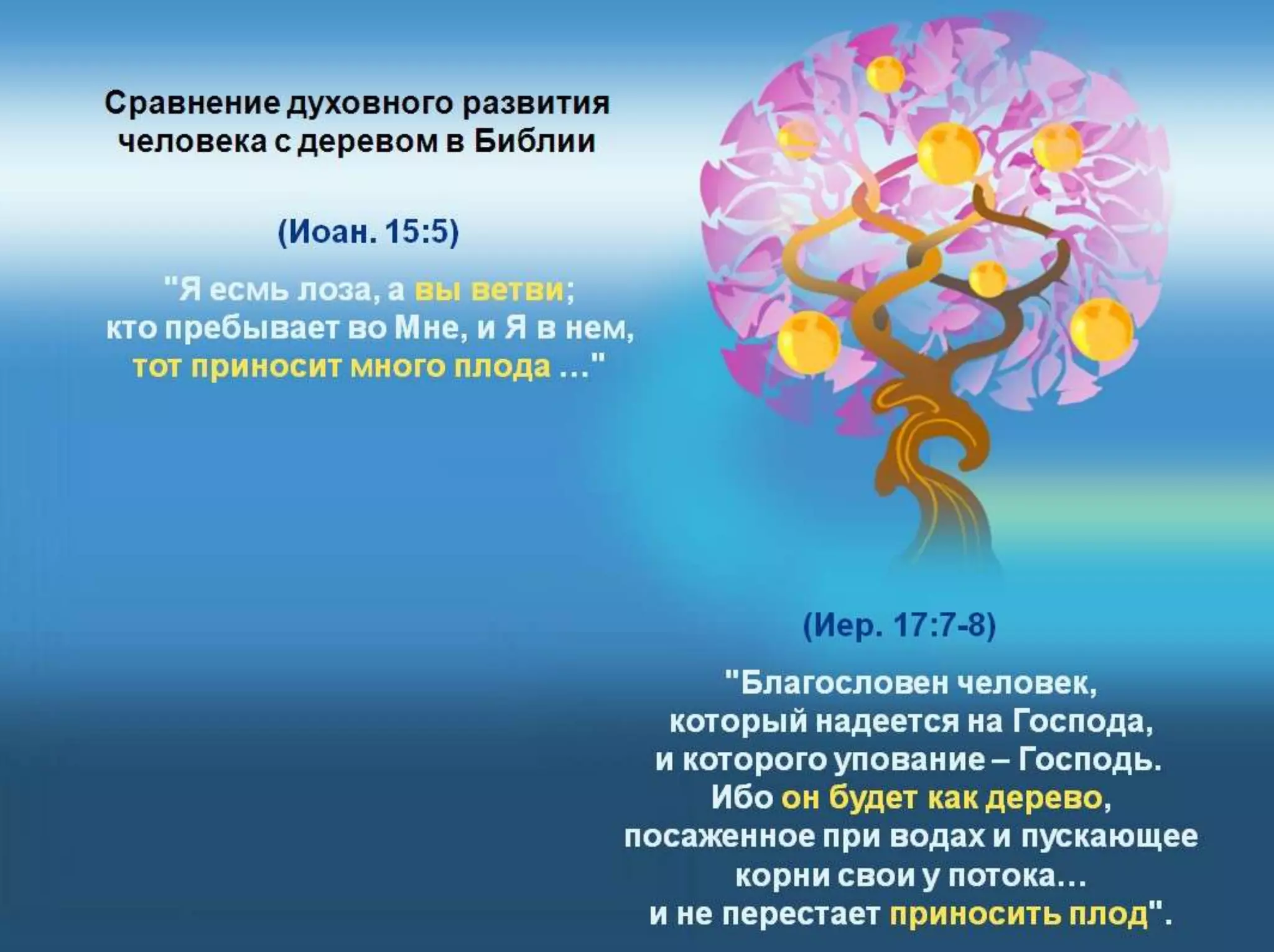 Раздел 1. Корень греха