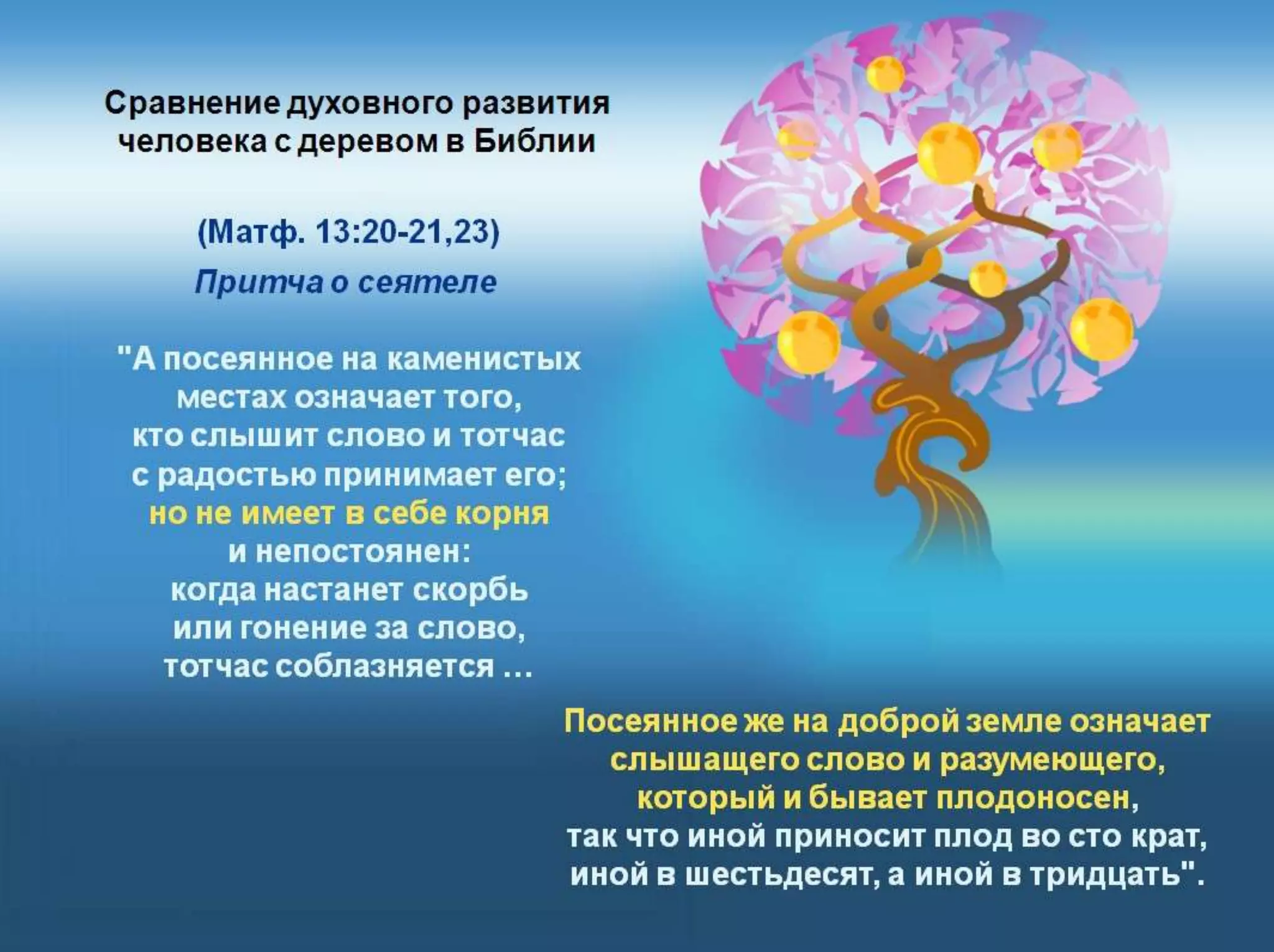 Раздел 1. Корень греха