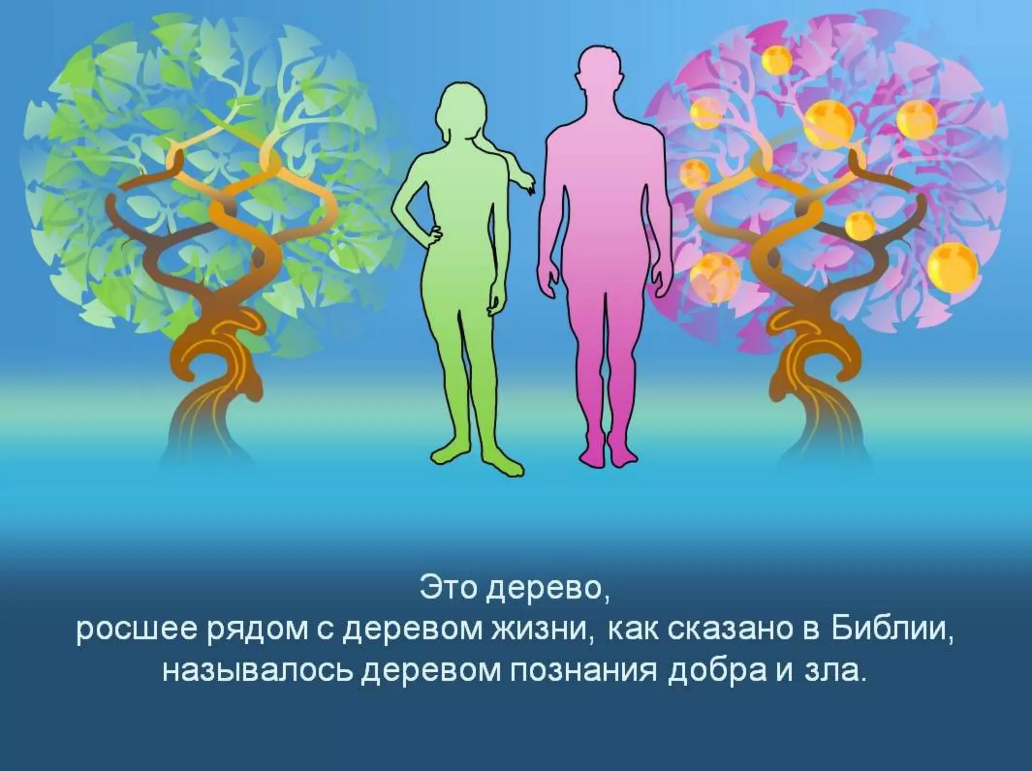 Раздел 1. Корень греха