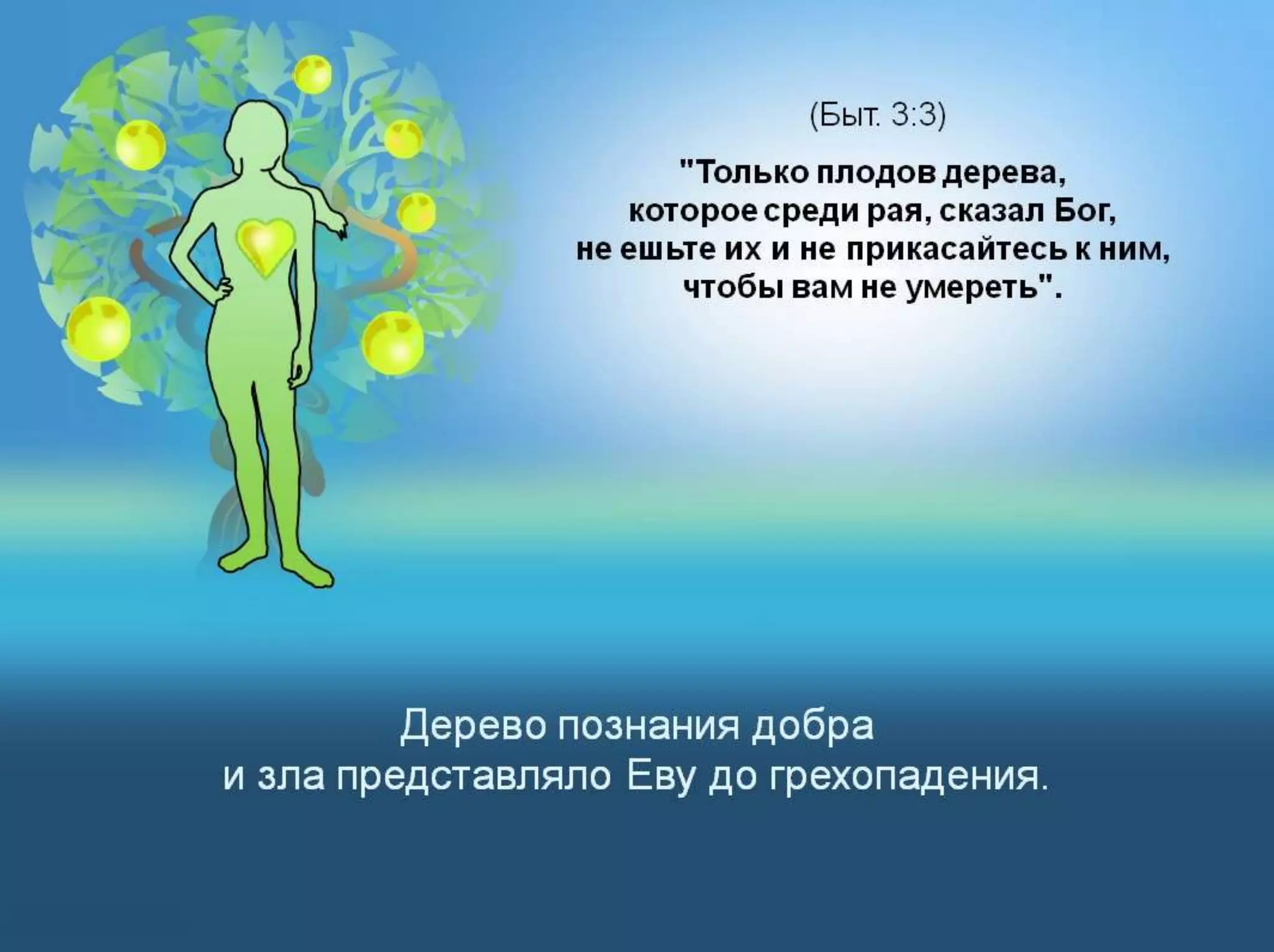 Раздел 1. Корень греха