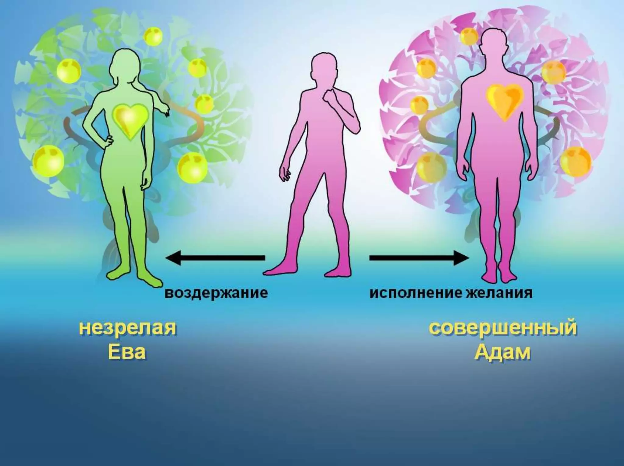 Раздел 1. Корень греха