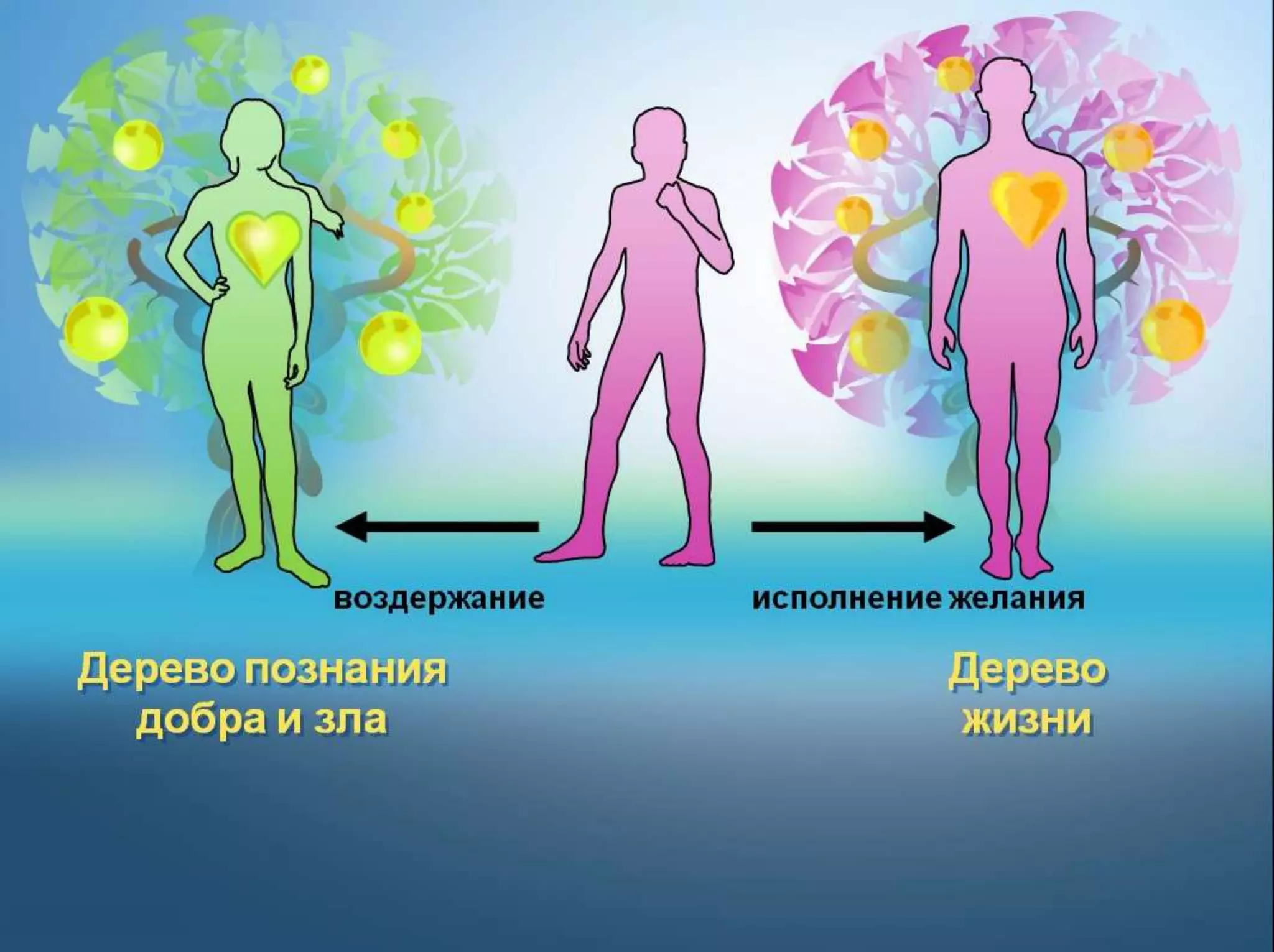Раздел 1. Корень греха