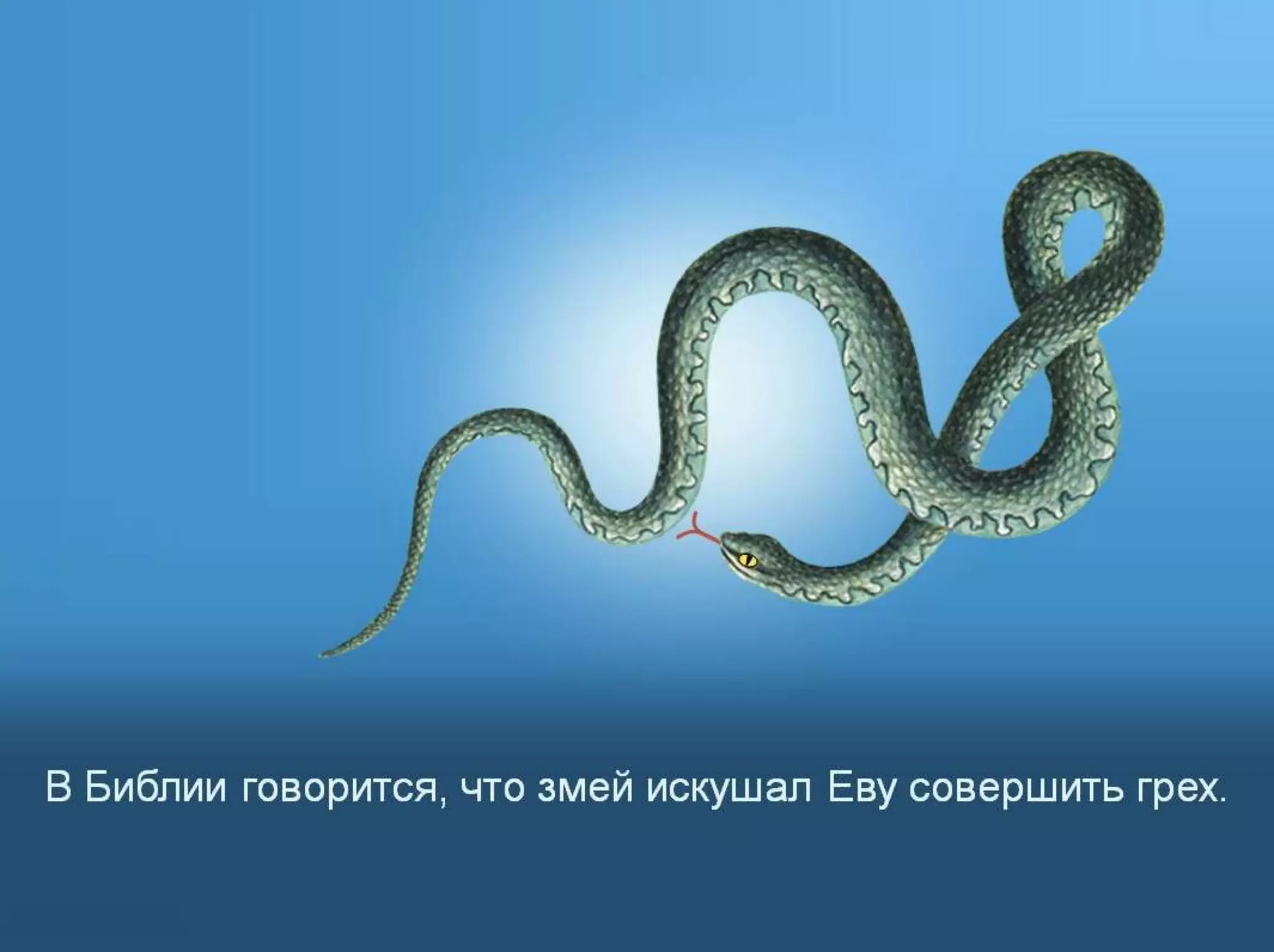 Раздел 1. Корень греха