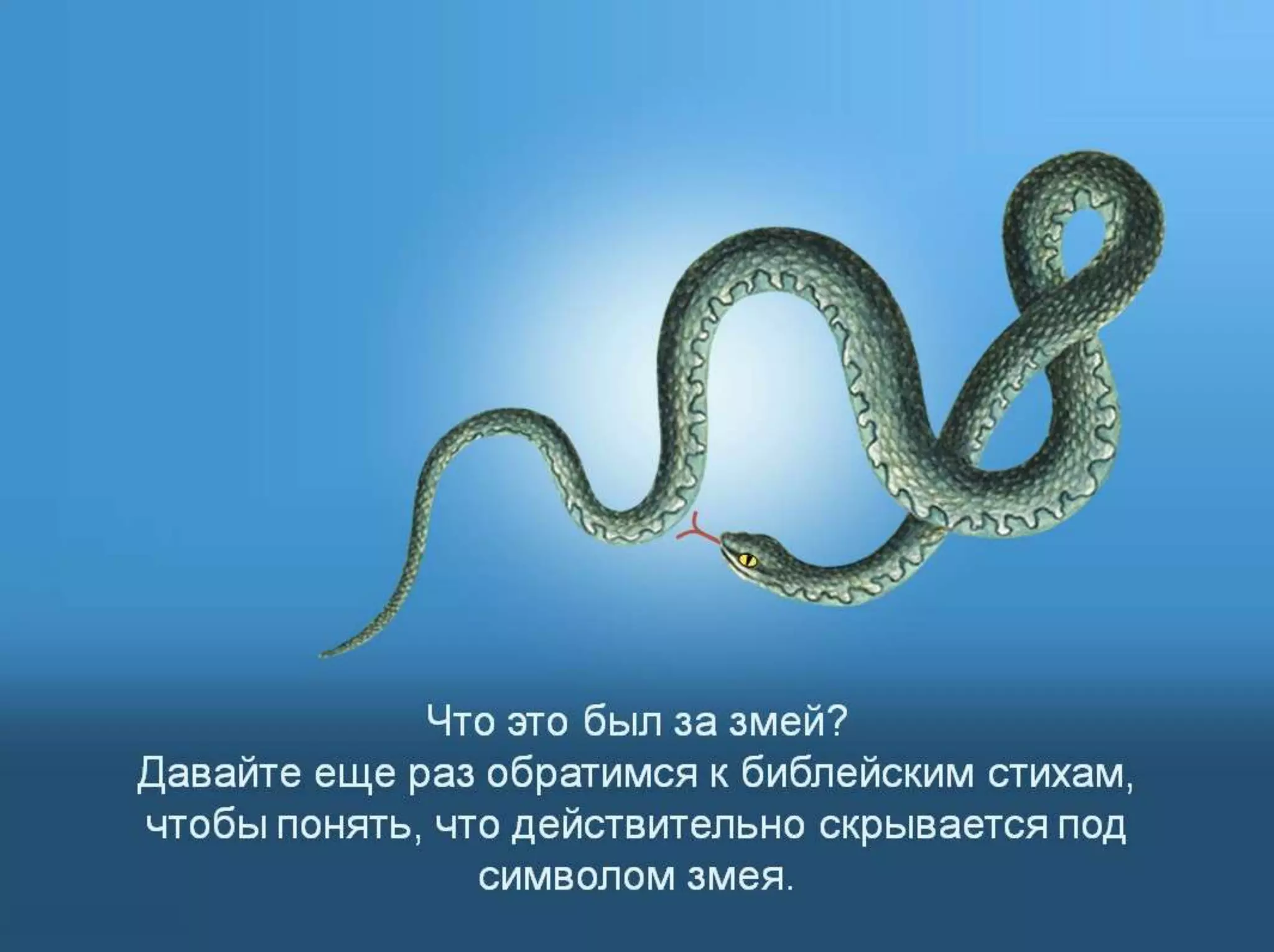 Раздел 1. Корень греха