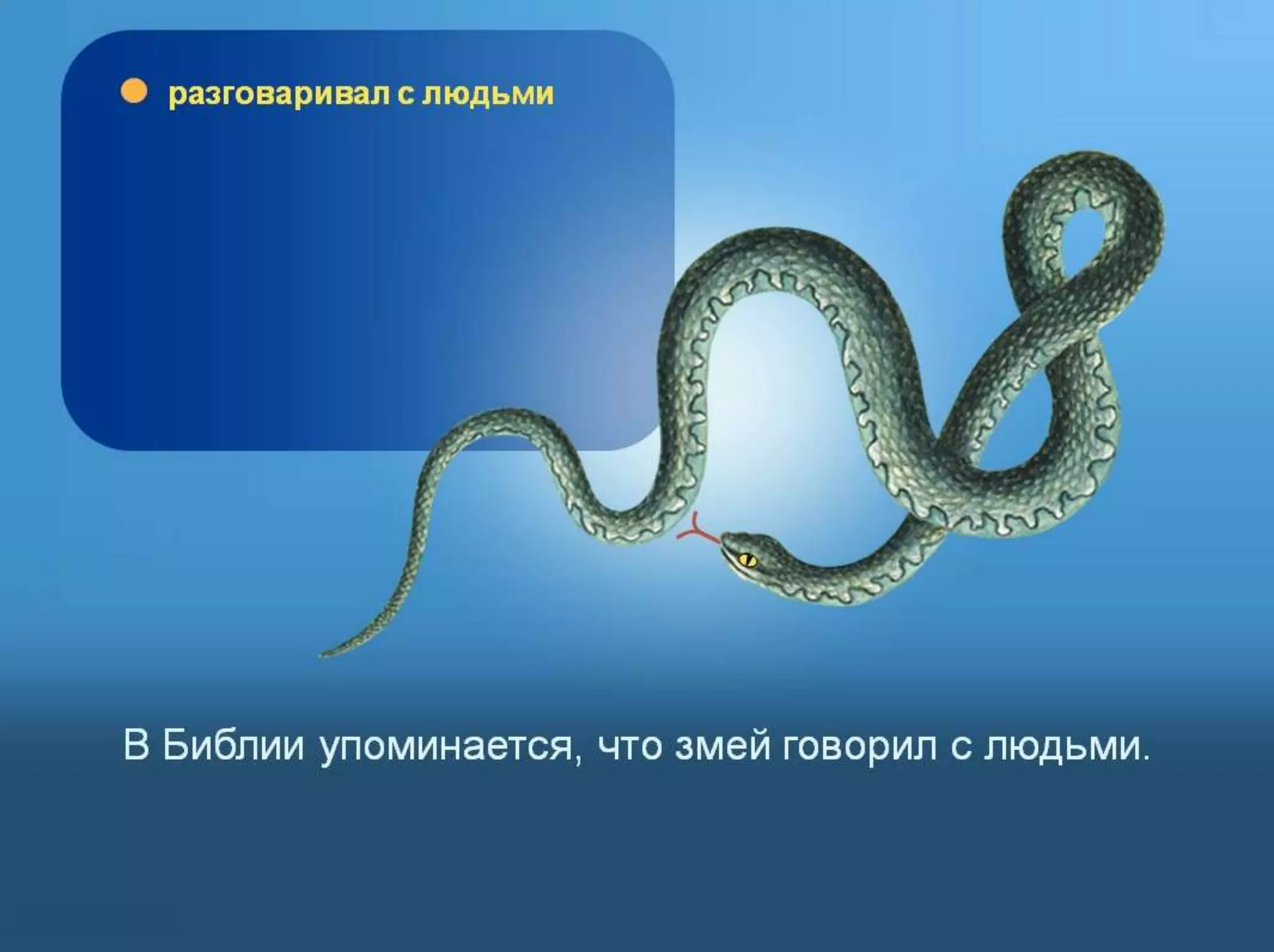 Раздел 1. Корень греха