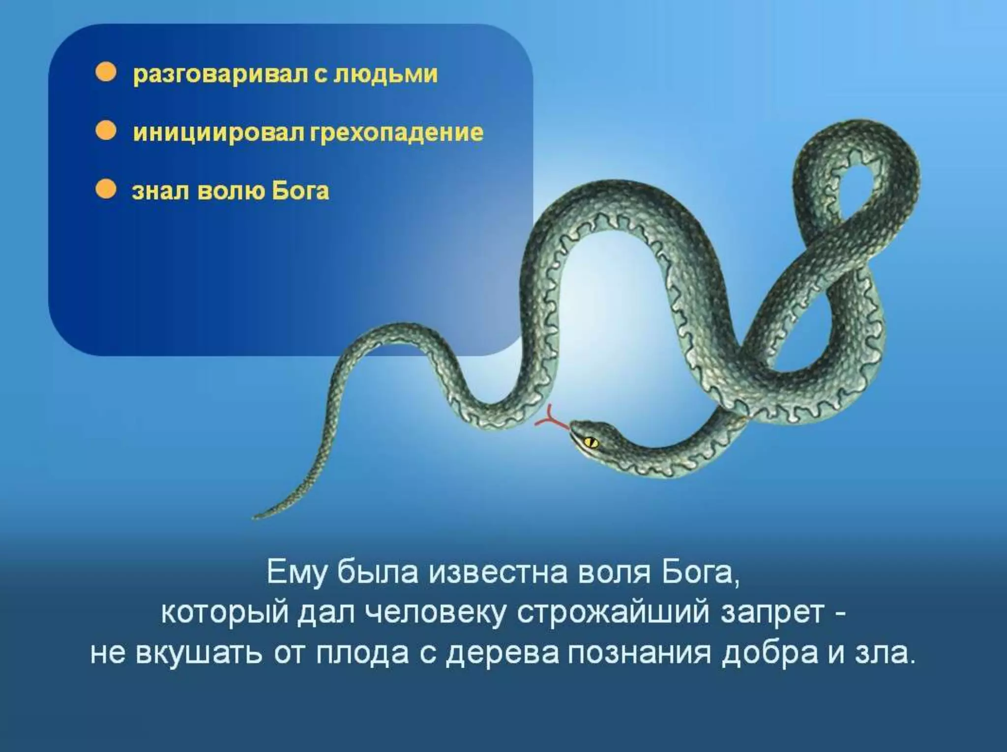 Раздел 1. Корень греха