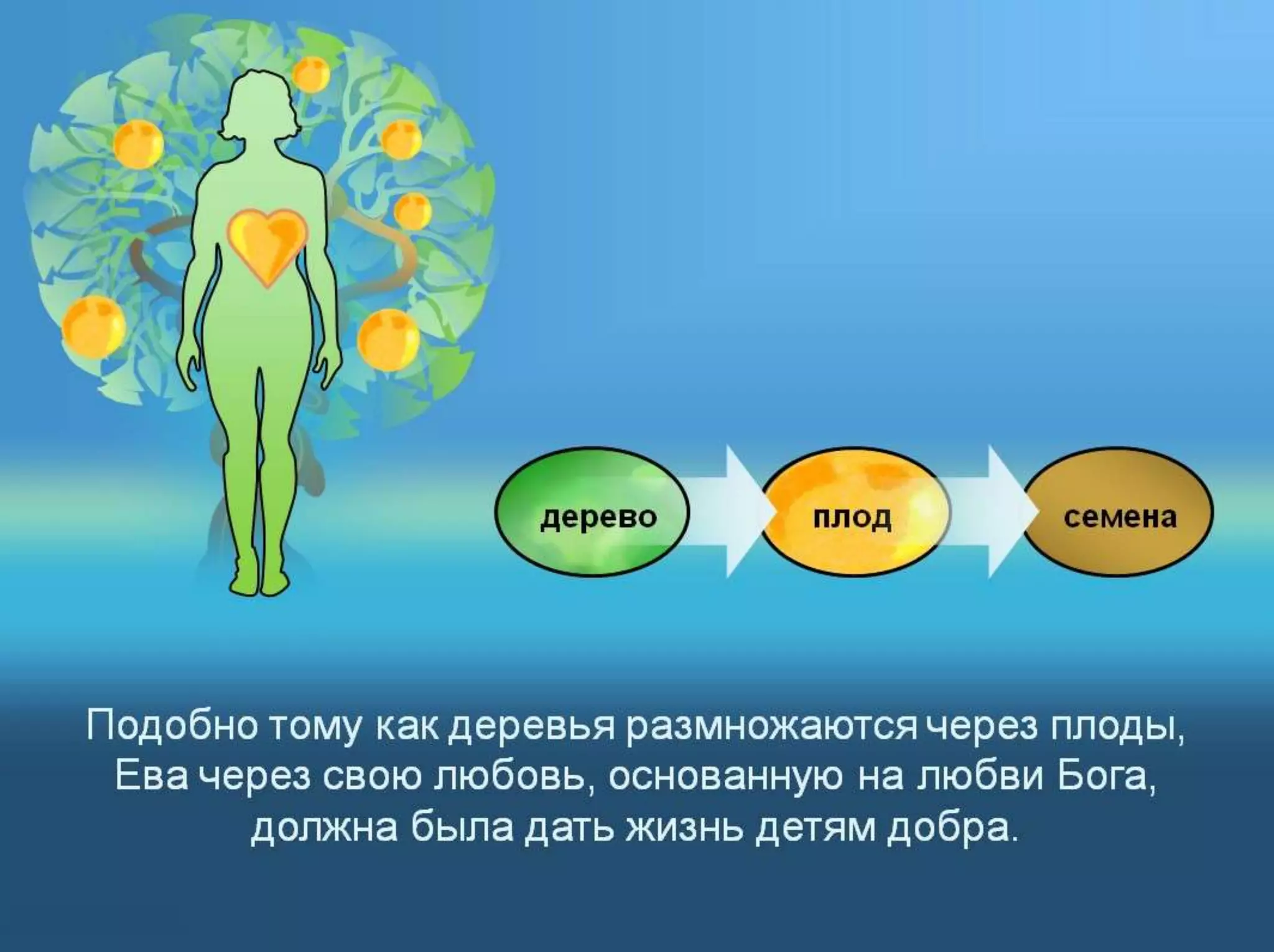 Раздел 1. Корень греха