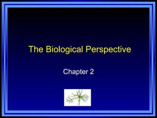 The Biological Perspective Chapter 2 