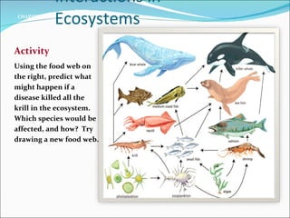 Interactions in Ecosystems Activity Using the food web on the right, predict what might happen if a disease killed all the krill in the ecosystem. Which species would be affected, and how?  Try drawing a new food web. 2 CHAPTER 