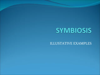 ILLUSTATIVE EXAMPLES 