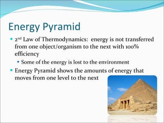 Energy Pyramid 2 nd  Law of Thermodynamics:  energy is not transferred from one object/organism to the next with 100% efficiency Some of the energy is lost to the environment Energy Pyramid shows the amounts of energy that moves from one level to the next 