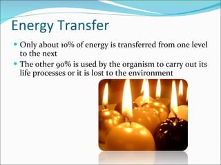 Energy Transfer Only about 10% of energy is transferred from one level to the next The other 90% is used by the organism to carry out its life processes or it is lost to the environment 
