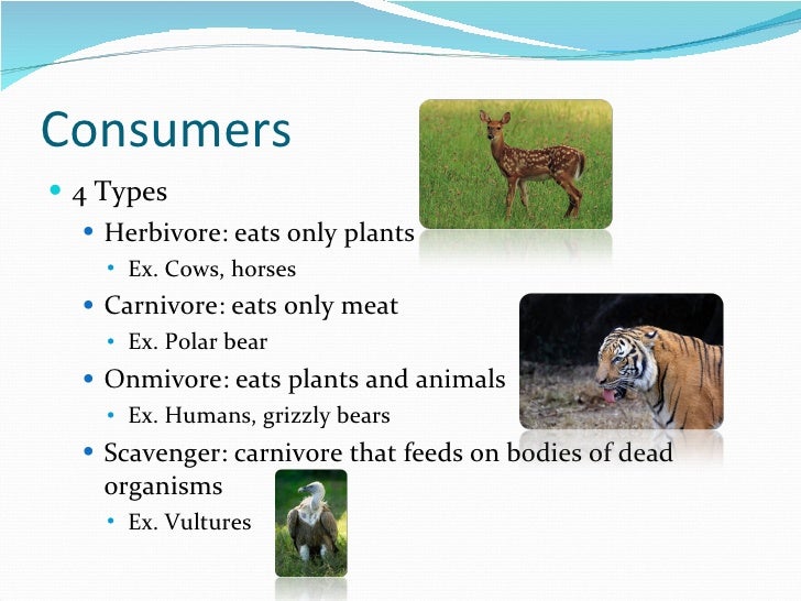 Chapter 2 Ecosystems Science 10E