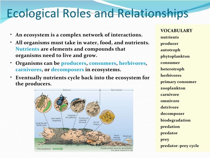 Chapter 2 Ecosystems Science 10E