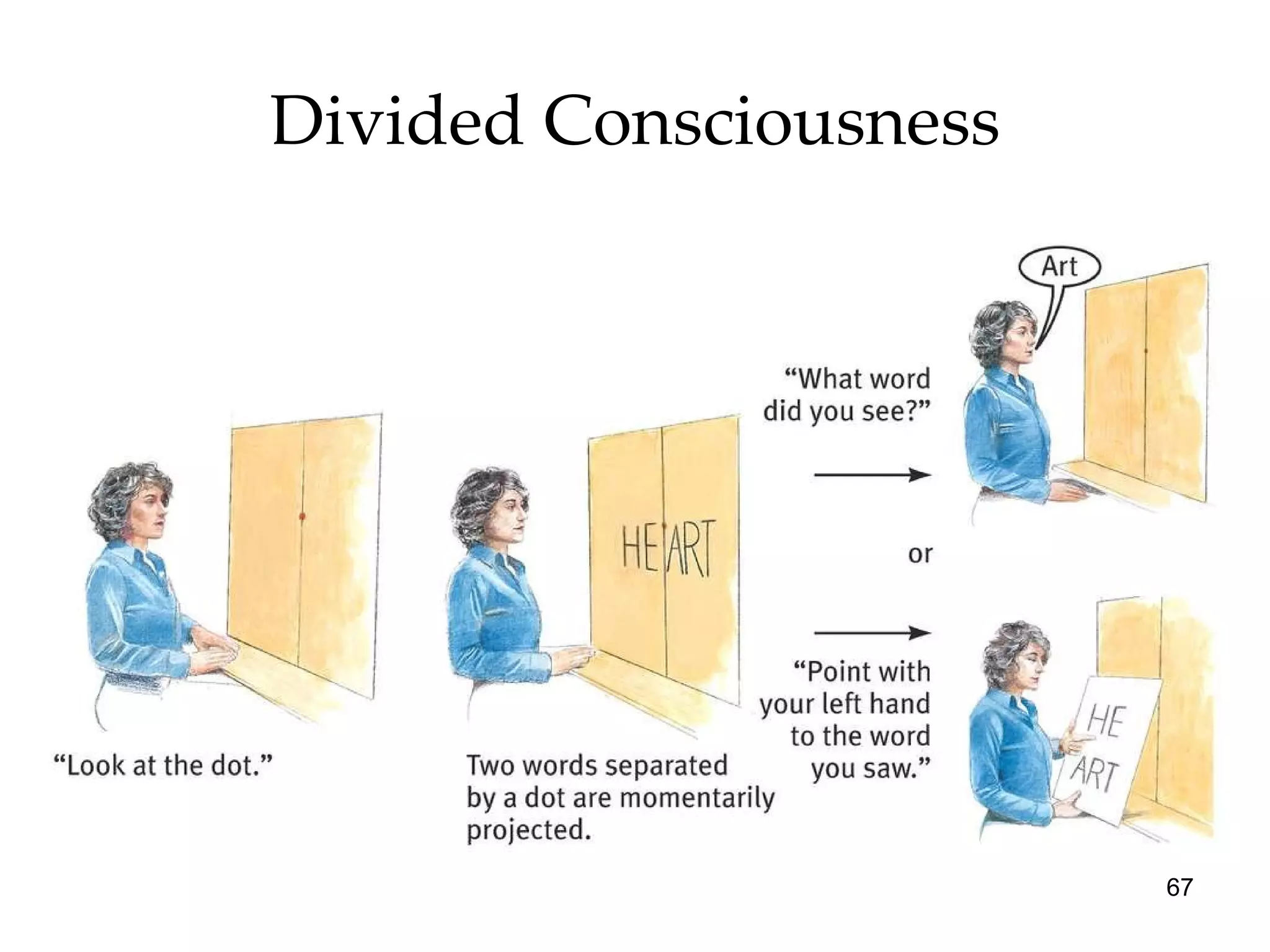 Divided Consciousness 