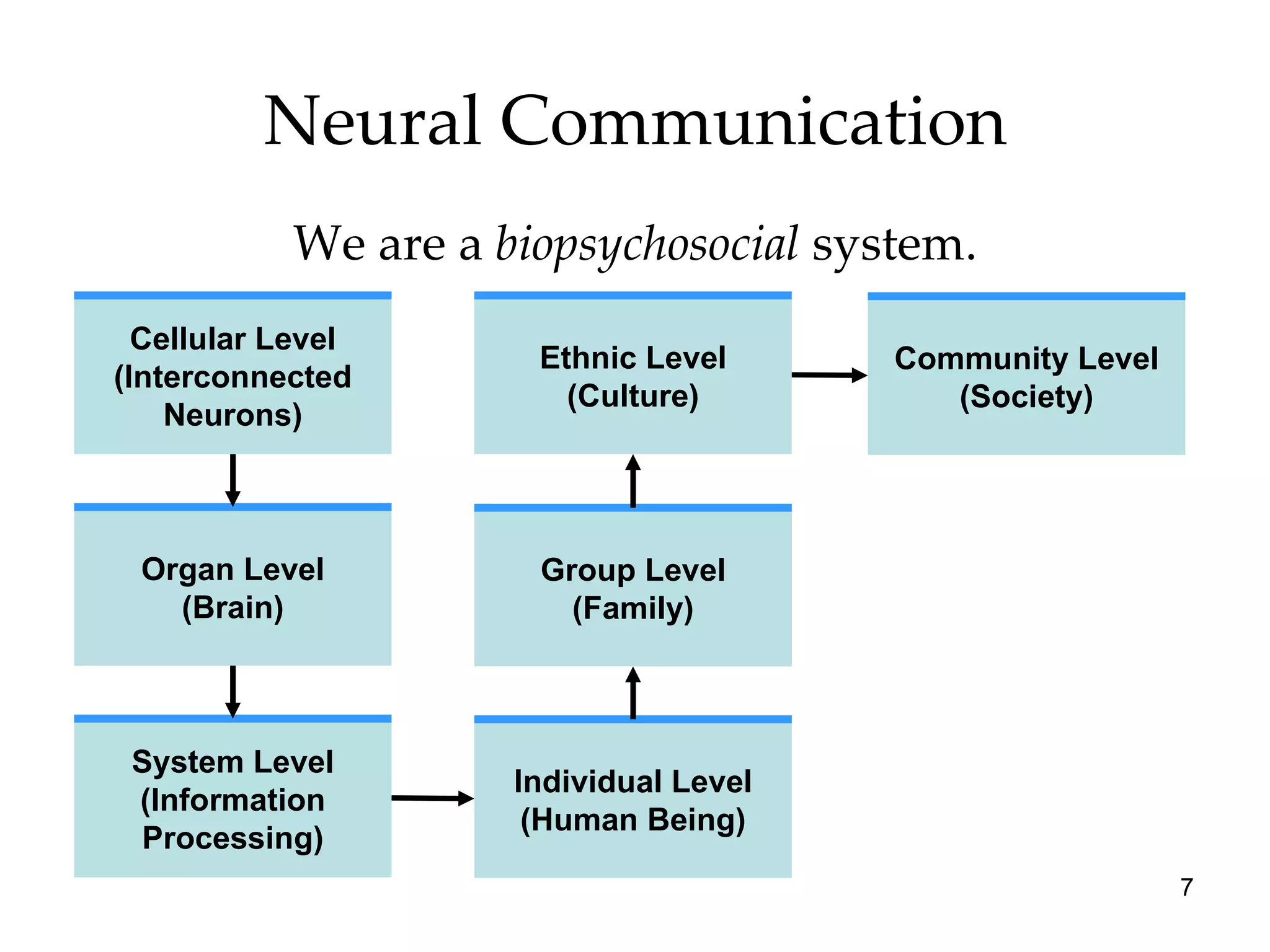 Neural Communication We are a  biopsychosocial  system. Cellular Level (Interconnected Neurons) Organ Level (Brain) System Level (Information Processing) Individual Level (Human Being) Group Level (Family) Ethnic Level (Culture) Community Level (Society) 