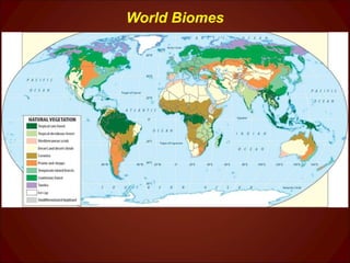 World Biomes 
