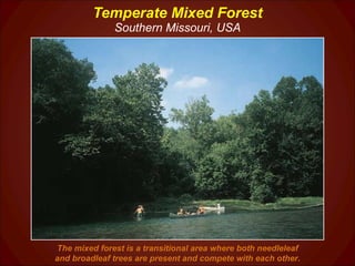 Temperate Mixed Forest Southern Missouri, USA The mixed forest is a transitional area where both needleleaf and broadleaf trees are present and compete with each other. 