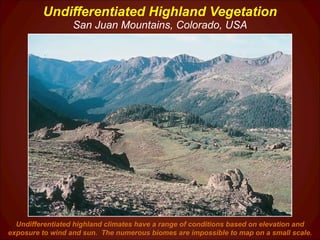 Undifferentiated Highland Vegetation San Juan Mountains, Colorado, USA Undifferentiated highland climates have a range of conditions based on elevation and exposure to wind and sun.  The numerous biomes are impossible to map on a small scale. 