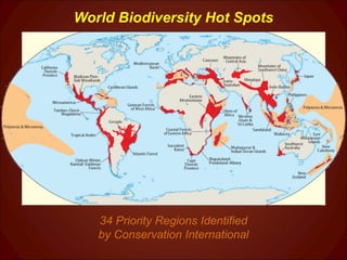 World Biodiversity Hot Spots 34 Priority Regions Identified by Conservation International 