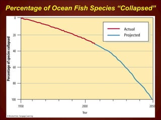 Percentage of Ocean Fish Species “Collapsed” 