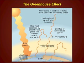 The Greenhouse Effect 