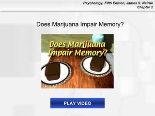 PLAY VIDEO Does Marijuana Impair Memory? 