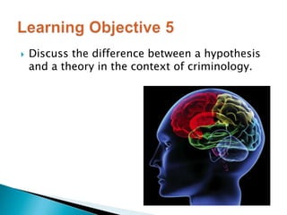 Discuss the difference between a hypothesis 
and a theory in the context of criminology. 
 