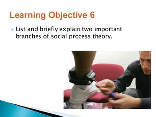  List and briefly explain two important 
branches of social process theory. 
 