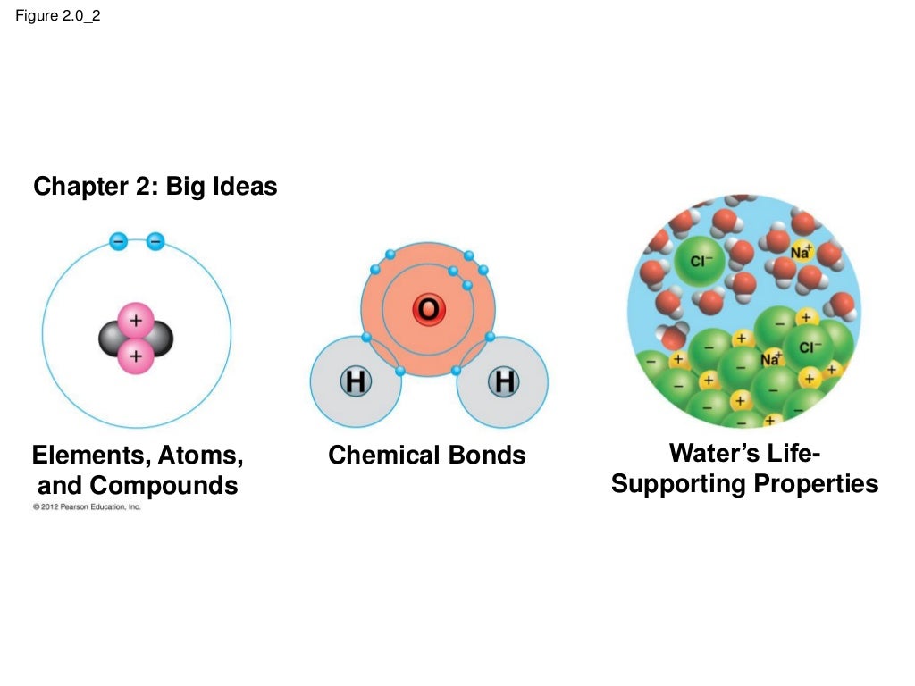 The Chemical Basis of Life