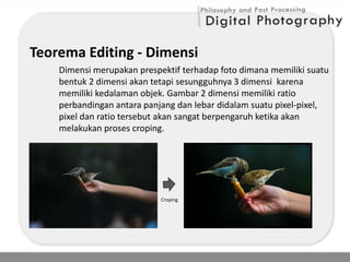 Philosophy and Post Processing Digital Photography | PDF
