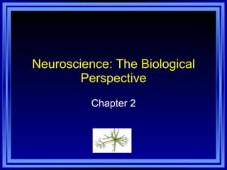 Neuroscience: The Biological Perspective Chapter 2 