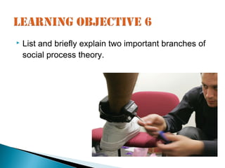    List and briefly explain two important branches of
    social process theory.
 