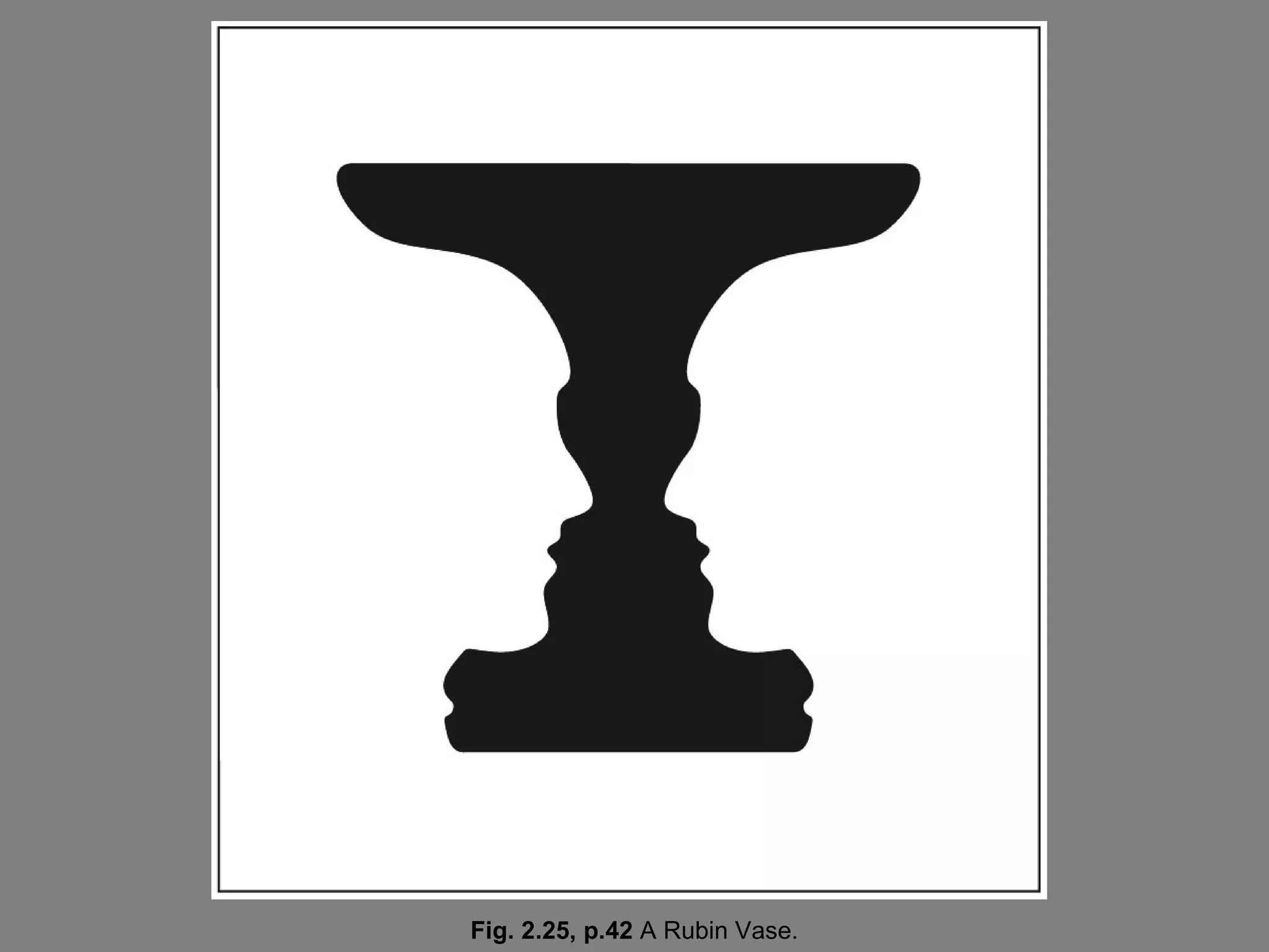 Fig. 2.25, p.42 A Rubin Vase.
 