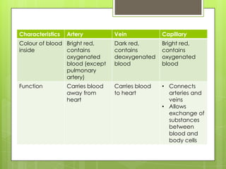 Characteristics   Artery          Vein            Capillary
Colour of blood Bright red,       Dark red,       Bright red,
inside          contains          contains        contains
                oxygenated        deoxygenated    oxygenated
                blood (except     blood           blood
                pulmonary
                artery)
Function          Carries blood   Carries blood   • Connects
                  away from       to heart          arteries and
                  heart                             veins
                                                  • Allows
                                                    exchange of
                                                    substances
                                                    between
                                                    blood and
                                                    body cells
 