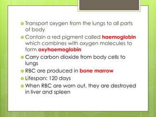  Transport   oxygen from the lungs to all parts
  of body
 Contain a red pigment called haemoglobin
  which combines with oxygen molecules to
  form oxyhaemoglobin
 Carry carbon dioxide from body cells to
  lungs
 RBC are produced in bone marrow
 Lifespan: 120 days
 When RBC are worn out, they are destroyed
  in liver and spleen
 