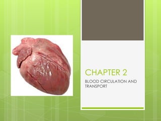 CHAPTER 2
BLOOD CIRCULATION AND
TRANSPORT
 