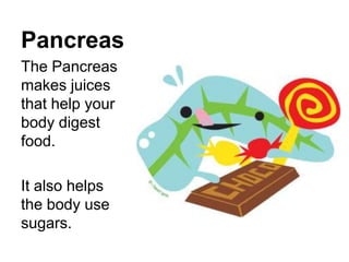 Pancreas
The Pancreas
makes juices
that help your
body digest
food.

It also helps
the body use
sugars.
 