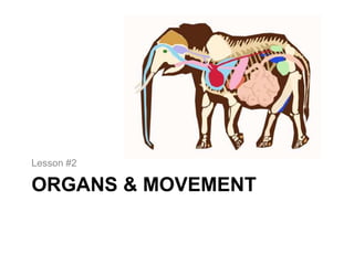 Lesson #2

ORGANS & MOVEMENT
 