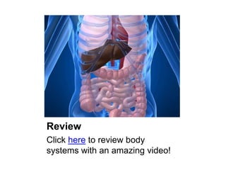 Review
Click here to review body
systems with an amazing video!
 