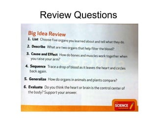 Review Questions
 