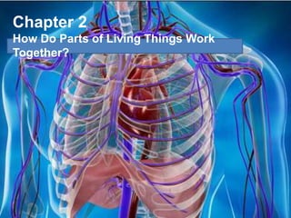 Chapter 2
How Do Parts of Living Things Work
Together?
 