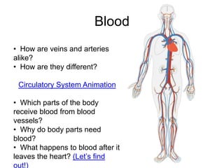 Blood
• How are veins and arteries
alike?
• How are they different?

 Circulatory System Animation

• Which parts of the body
receive blood from blood
vessels?
• Why do body parts need
blood?
• What happens to blood after it
leaves the heart? (Let’s find
out!)
 