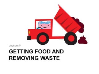 Lesson #4

GETTING FOOD AND
REMOVING WASTE
 
