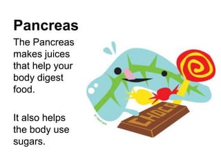 Pancreas
The Pancreas
makes juices
that help your
body digest
food.

It also helps
the body use
sugars.
 