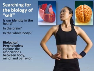 Searching for
the biology of
“self”
2
Is our identity in the
heart?
In the brain?
In the whole body?
Biological
Psychologists
explore the
associations
between body,
mind, and behavior.
 