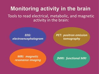 Monitoring activity in the brain
Tools to read electrical, metabolic, and magnetic
activity in the brain:
EEG:
electroencephalogram
MRI: magnetic
resonance imaging
fMRI: functional MRI
PET: positron emission
tomography
 