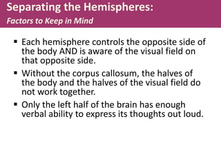 Separating the Hemispheres:
Factors to Keep in Mind
 Each hemisphere controls the opposite side of
the body AND is aware of the visual field on
that opposite side.
 Without the corpus callosum, the halves of
the body and the halves of the visual field do
not work together.
 Only the left half of the brain has enough
verbal ability to express its thoughts out loud.
 